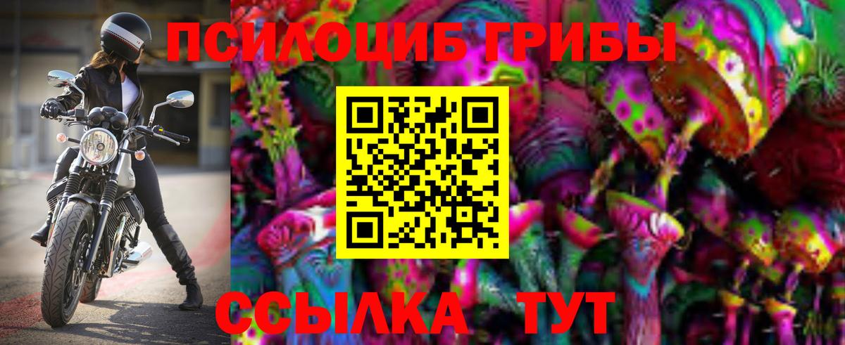 Псилоцибиновые грибы ЛСД  Вход с VPN  продажа наркотиков  Псилоцибиновые грибы MAGIC MUSHROOMS  Щёлково 